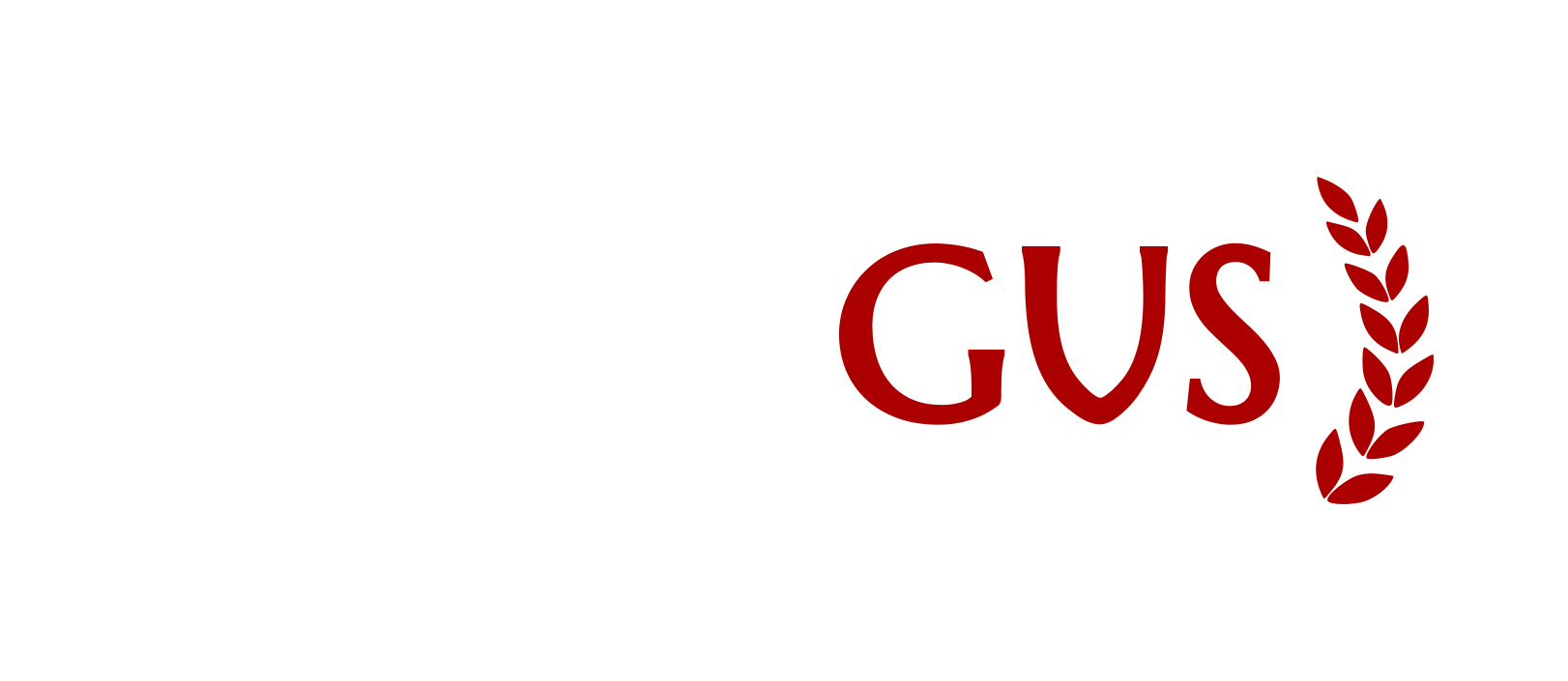 Codigus